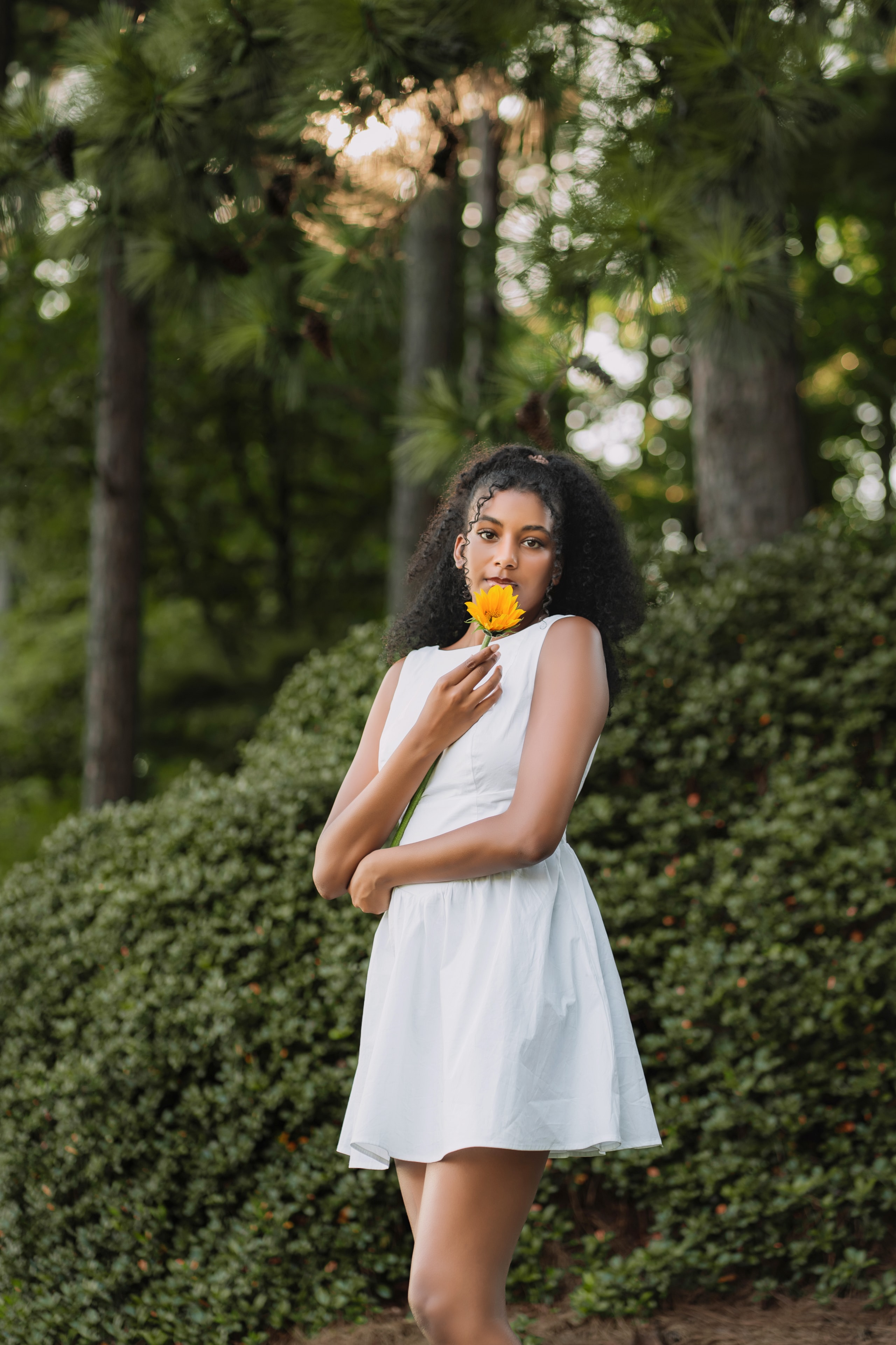 Portrait 13